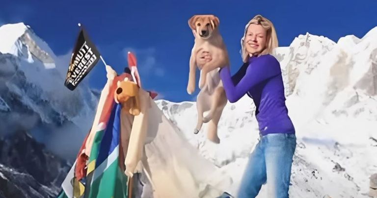 الكلبة روبي- أرشيفية