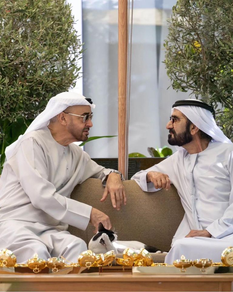 لقاء الشيخ محمد بن زايد آل نهيان والشيخ محمد بن راشد آل مكتوم