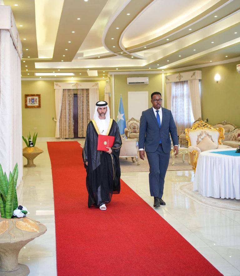 جانب من لقاء رئيس الصومال وسفير دولة الإمارات
