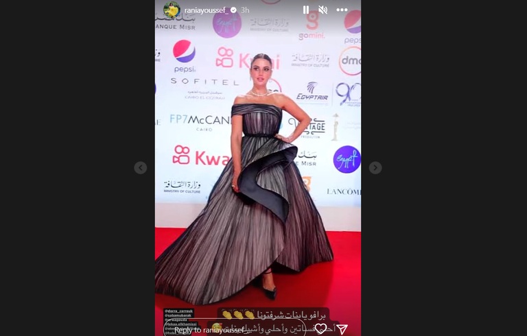 الفنانة المصرية رانيا يوسف - أرشيفية