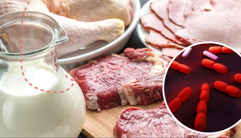 اللحوم الباردة والألبان غير المبسترة تحمل بكتيريا الليستيريا - أرشيفية