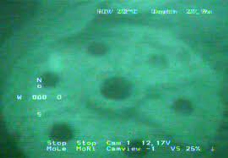 الزعيم النازي هتلر وفي الخلفية غواصة من طراز "يو"