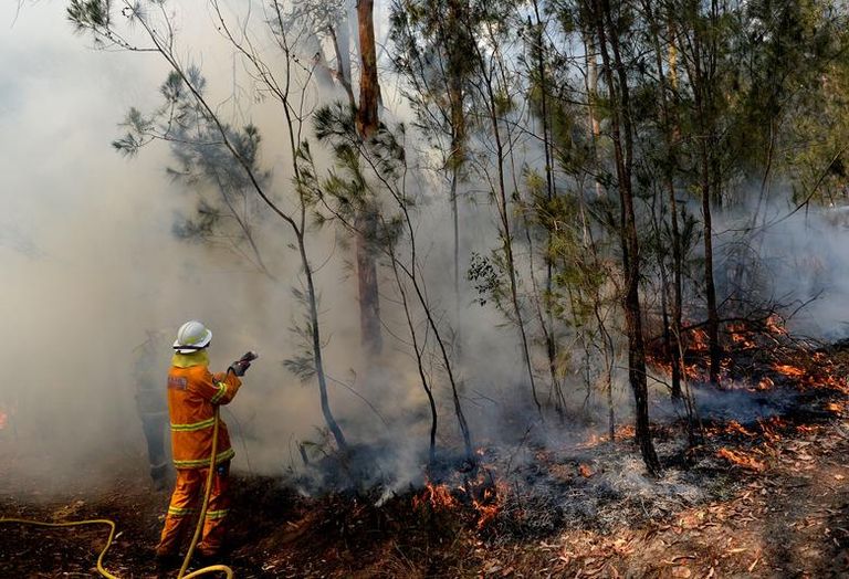 Australian bushfires - Reuters