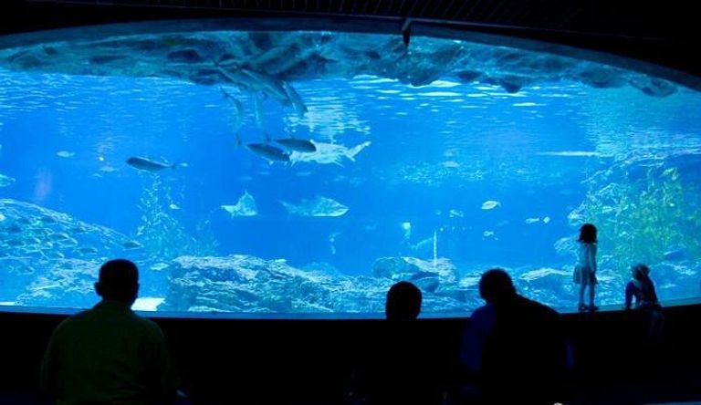  حوض بوسان المائي أحد أماكن السياحة في بوسان