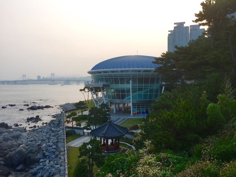 جزيرة "Dengobaek Island Seom" أحد أماكن السياحة في بوسان