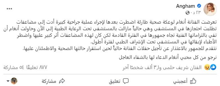 المطربة أنغام - أرشيفية