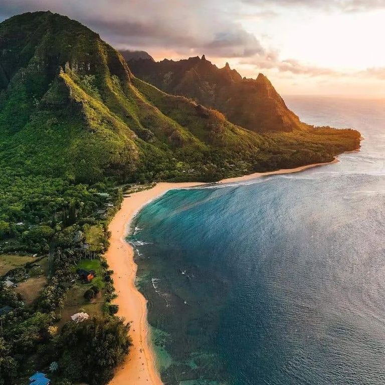 كاواي حديقة