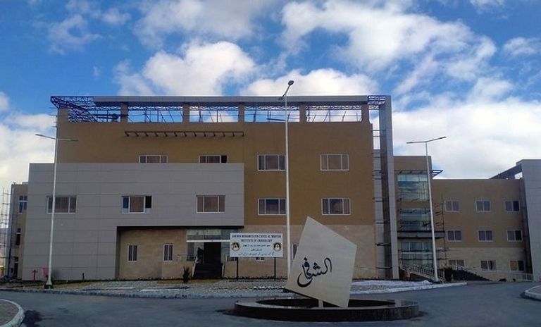 معهد الشيخ محمد بن زايد آل نهيان لأمراض القلب