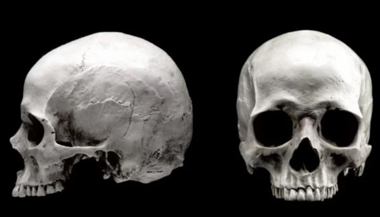 عظام بشرية- أرشيفية