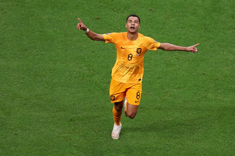 قطر وهولندا 