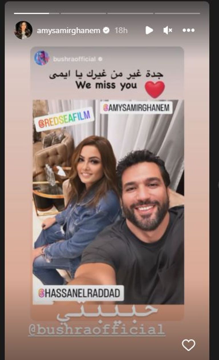 إيمي سمير غانم وحسن الرداد