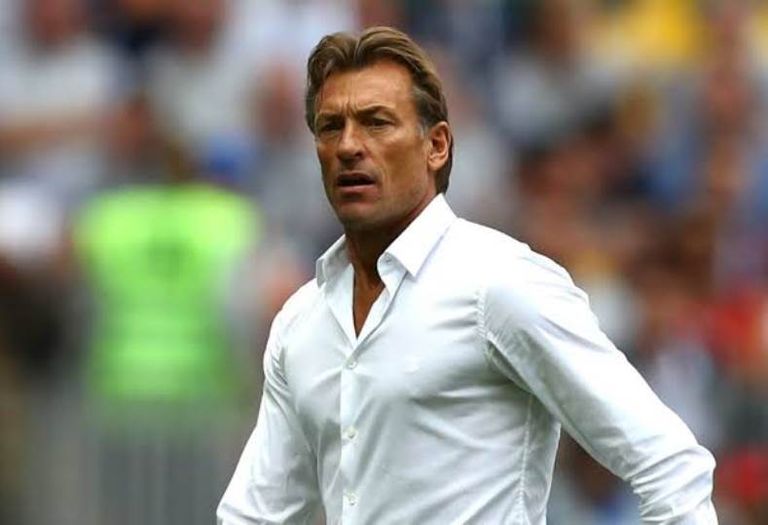 هيرفي رينارد هيرفي رينارد