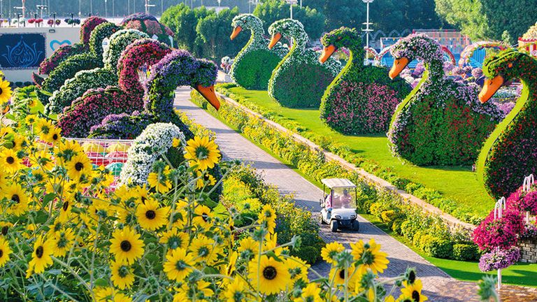 حديقة الزهور أحد أماكن السياحة في المدينة المنورة