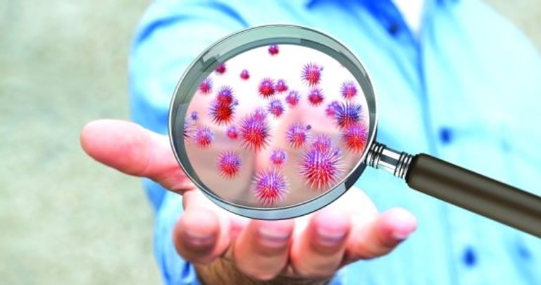 بكتيريا المكورات العقدية من المجموعة أ