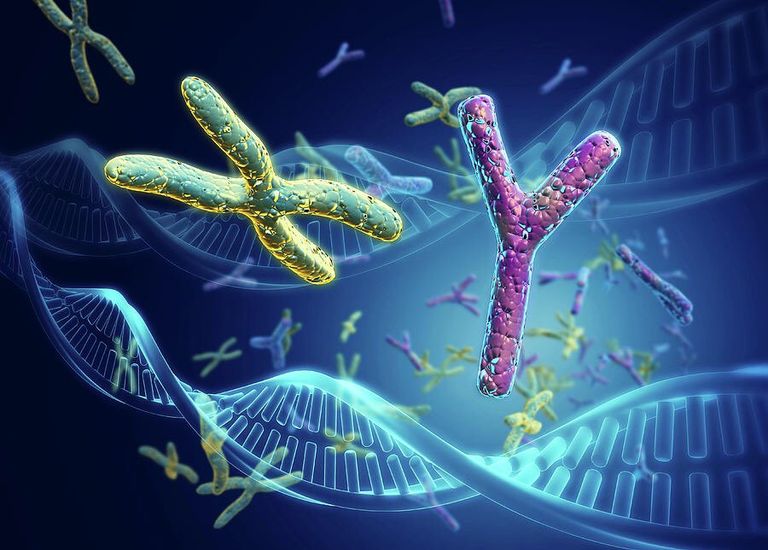 صورة نشرها موقع 