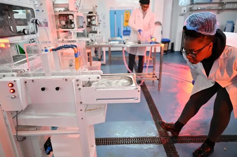 الأمير ويليام وزوجته كيت ميدلتون