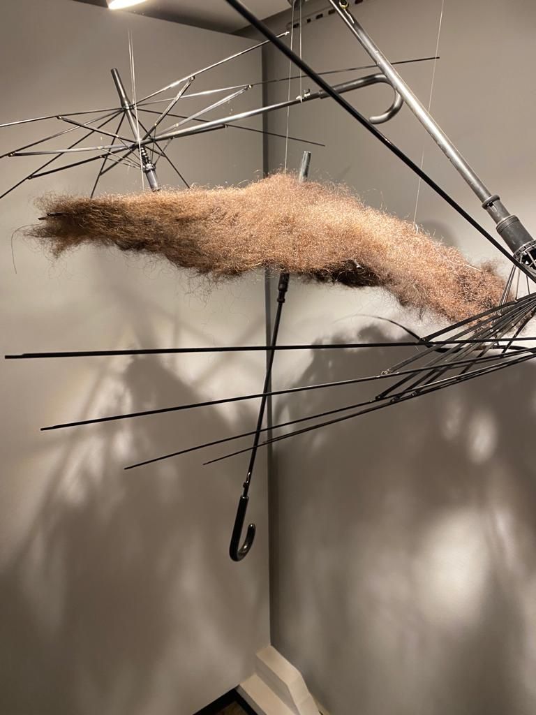 عرض مظلة ماجي الشاويش في مهرجان ضي الرابع للشباب العربي