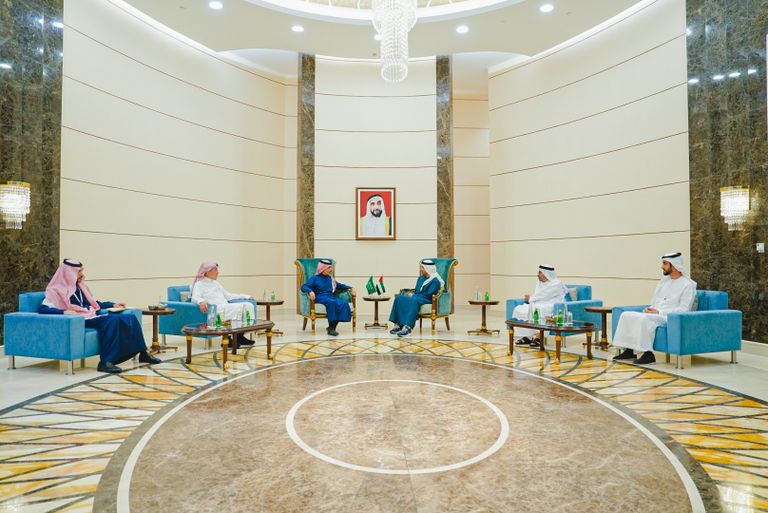 جانب من لقاء الشيخ عبد الله بن زايد آل نهيان والأمير فيصل بن فرحان