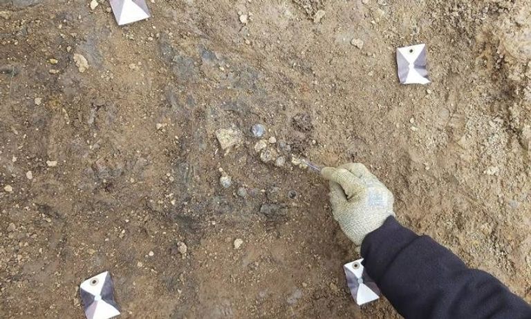 صورة تخيلية نشرتها الجارديان للسيدة صاحبة القبر