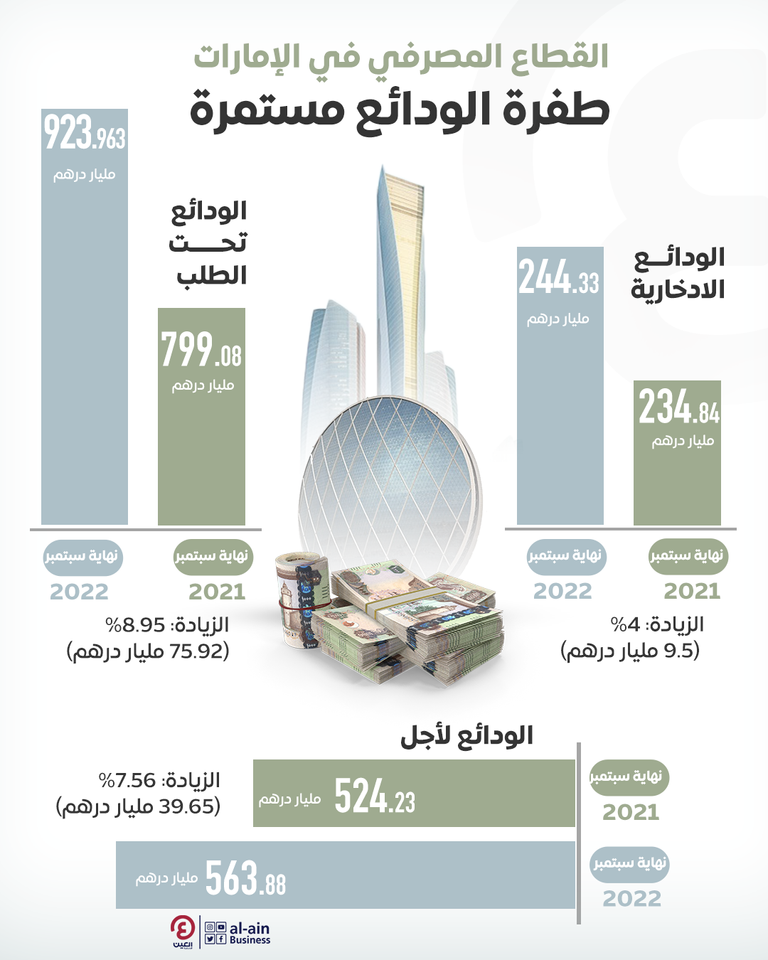 ودائع الادخار في بنوك الإمارات تقترب من ربع تريليون درهم.. قفزة كبيرة