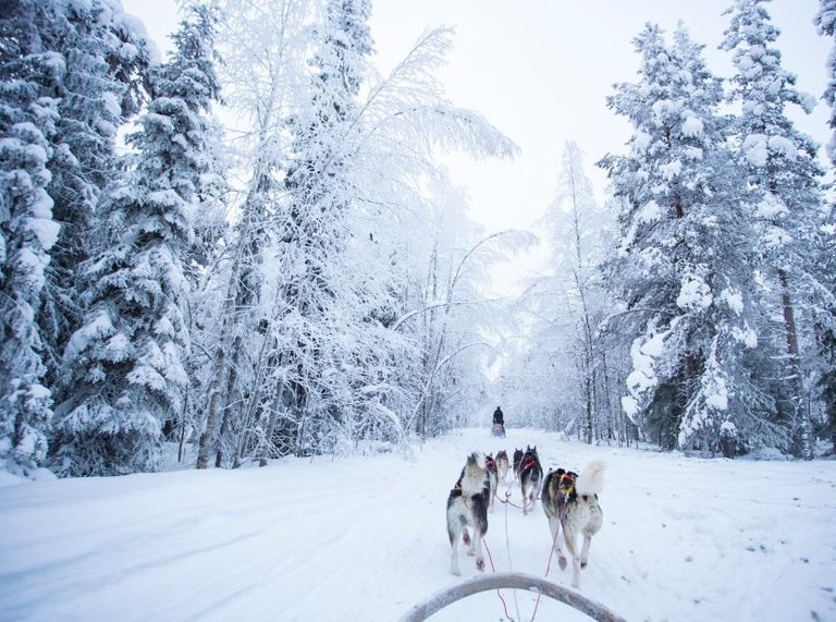 فنلندا كوريا الجنوبية هي الوجهة المفضلة على تيك توك لقضاء الكريسماس