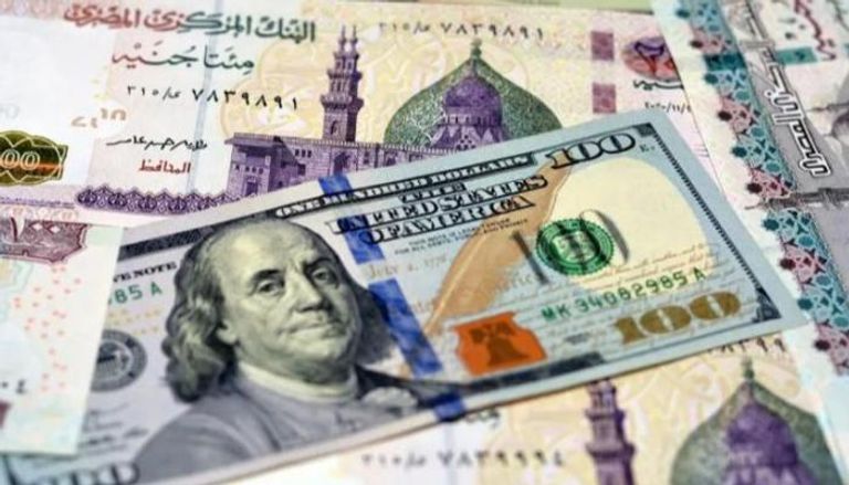 استقرار الدولار الأمريكي في البنوك المصرية