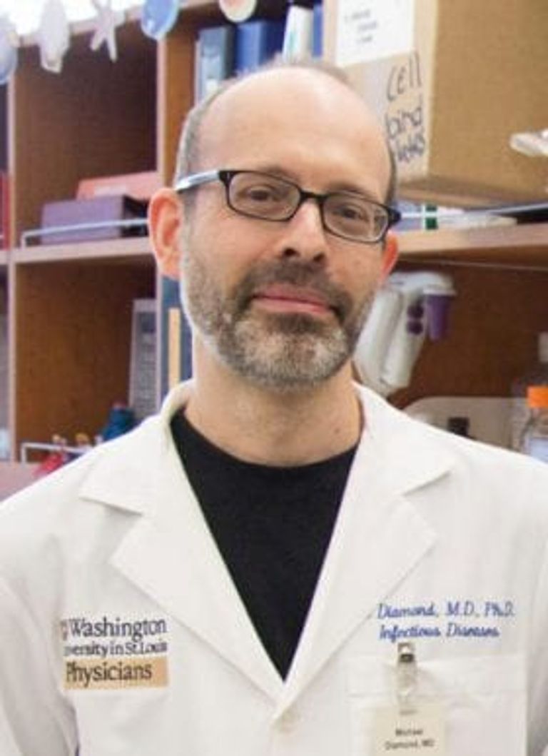 مايكل دايموند، أستاذ الميكروبيولوجيا الجزيئية وعلم الأمراض والمناعة بجامعة واشنطن اللقاحات الأنفية تحارب كورونا من بوابة دخوله الجسم