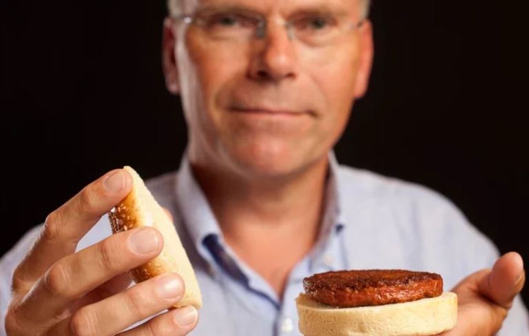 أسماك المختبر تعتمد على تقنية الخلايا الجذعية