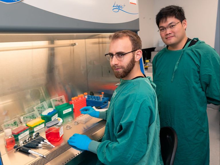 لقطات من اكتشافات توصل إليها العلماء خلال 2022