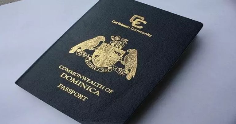 جنسيات للبيع - تعبيرية