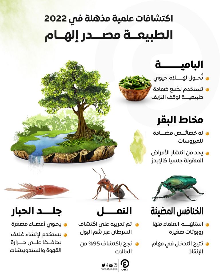 اكتشافات علمية مذهلة في 2022