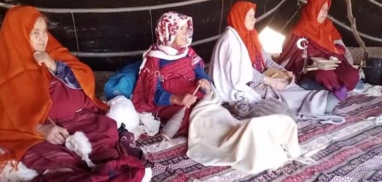 صورة لشجرة الزيتون "العكاريت"