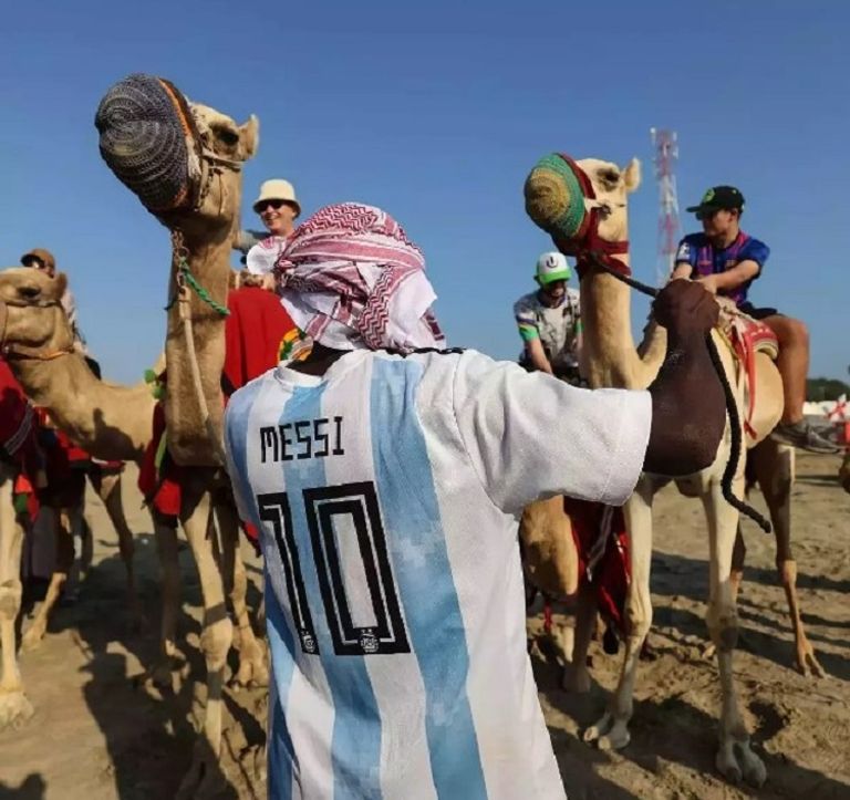 فيروس الإبل يشبه كوفيد-19 في الأعراض - أرشيفية