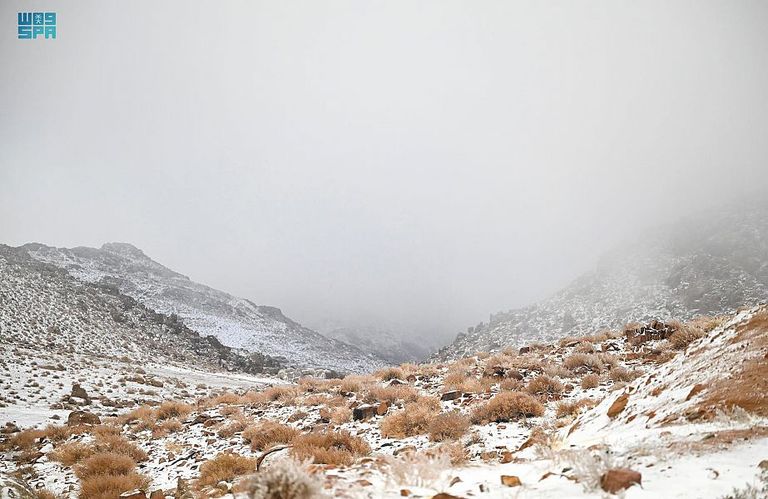 المناطق التي زادها الثلج جمالاً شكلت وجهة سياحية لأهالي تبوك