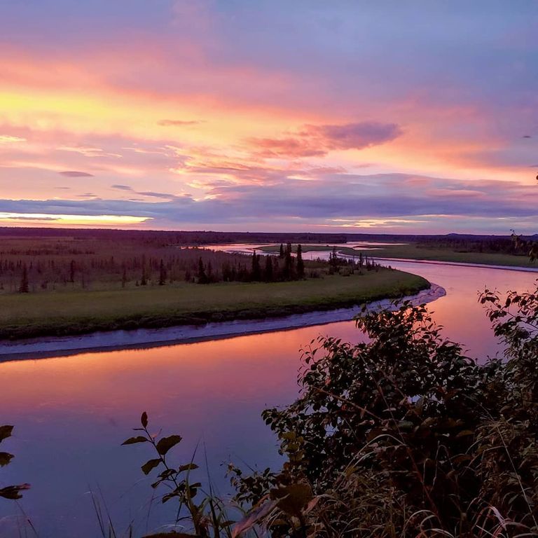 الصيد في ألاسكا الحياة البرية في ألاسكا