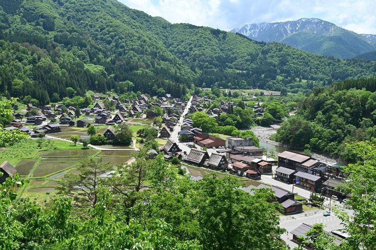 شيراكاوا جو مدينة