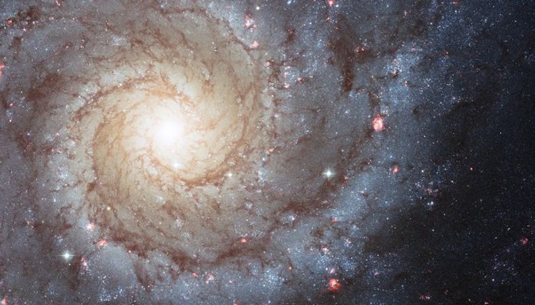 تلسكوب جيمس ويب العملاق