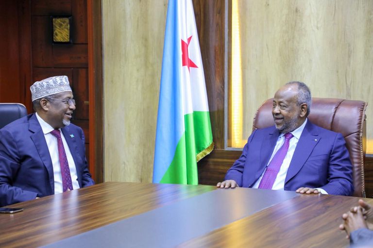 رئيسا الصومال وجيبوتي