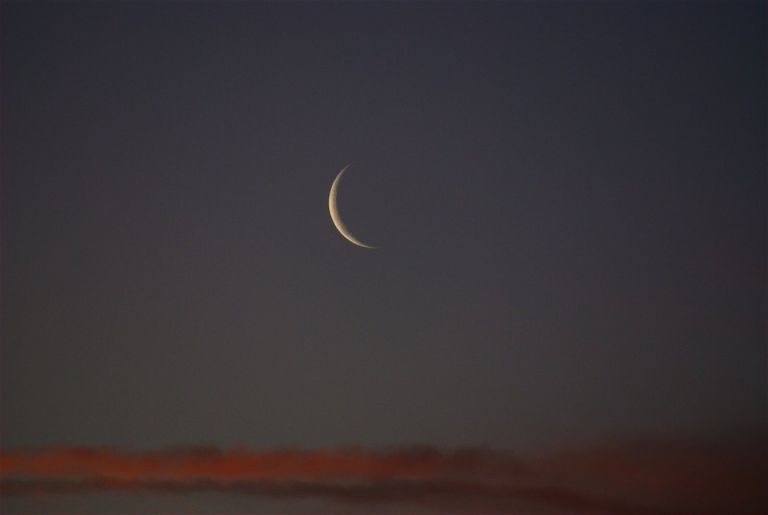 دار الإفتاء المصرية