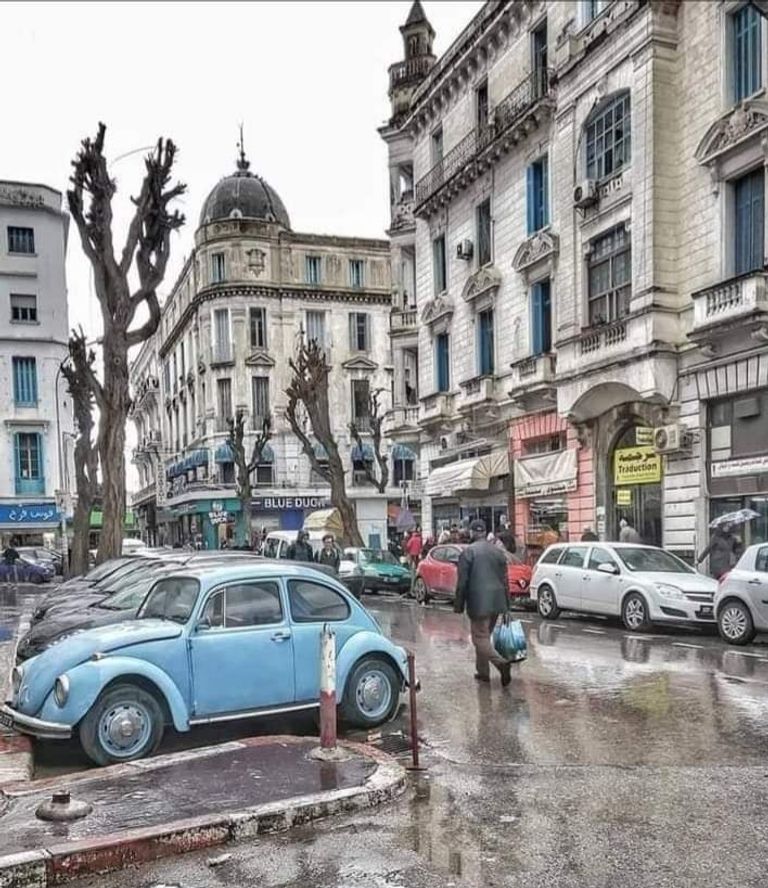 صورة لأرفف مكتبة نهج إنجلترا