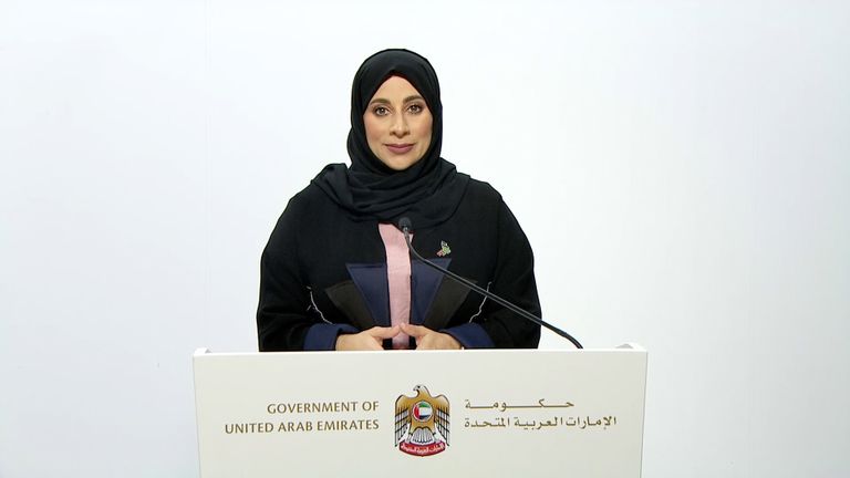 الدكتور طاهر البريك العامري