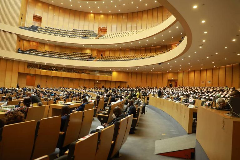 أماني عصفور رئيسـة مجلس الأعمال الأفريقي 