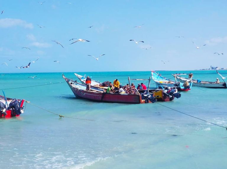 اليمنيون واصطياد التونة.. مغامرة ليلية في قلب الأمواج والبرد والألغام اصطياد سمك التونة يعد مغامرة كبرى في اليمن