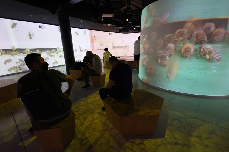 جناح سلوفينيا في إكسبو 2020 دبي