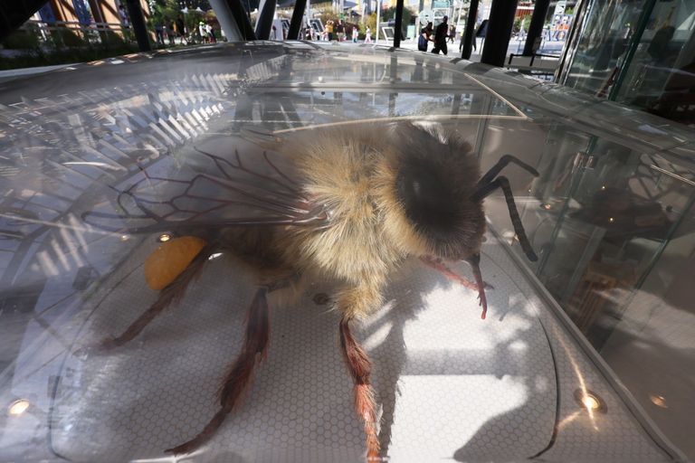 جناح سلوفينيا في إكسبو 2020 دبي