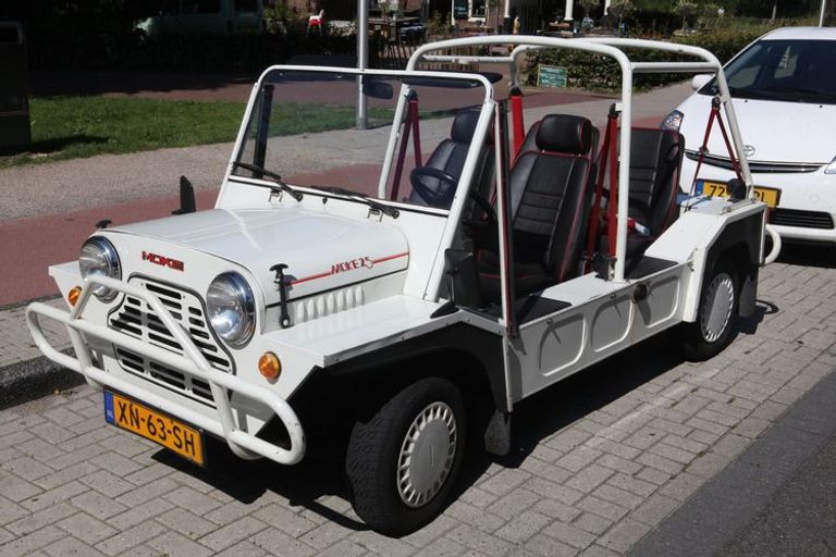 ميني موك Mini Moke  طراز Reliant Robin