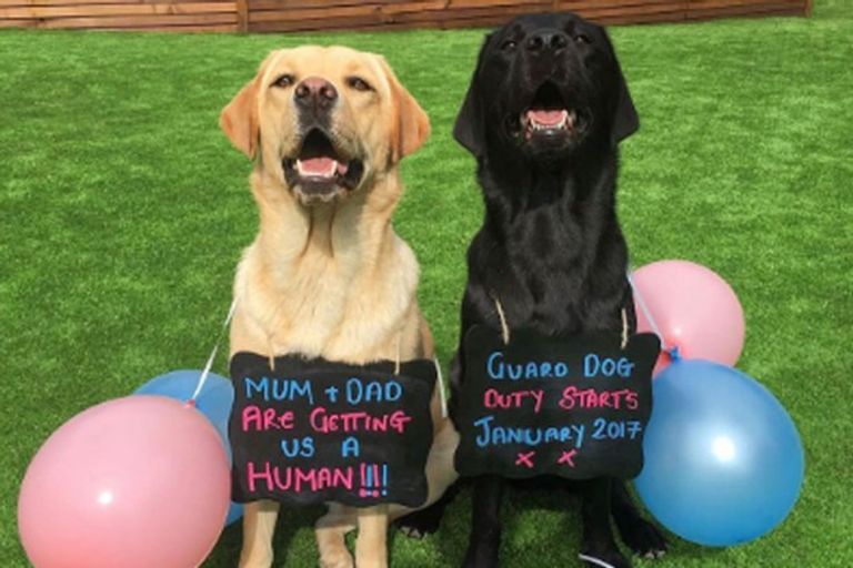 إعلان هاري كين كريستيانو رونالدو وعائلته