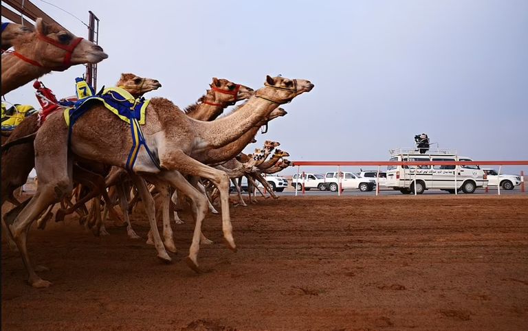 طريق Polychrome Pass