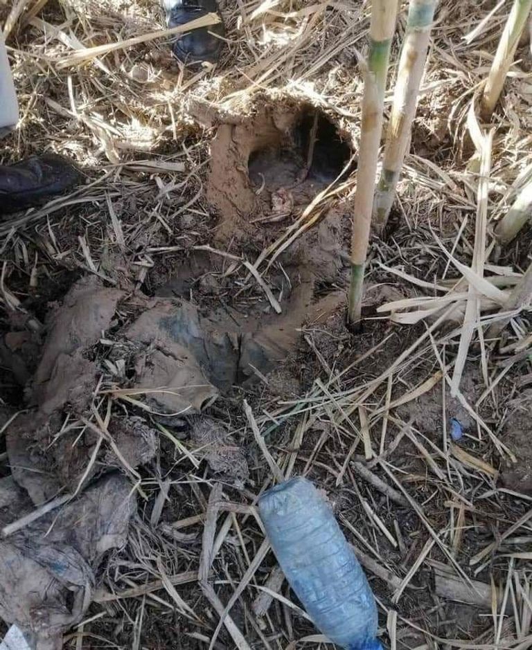 الطفل الغريق دانر نبز