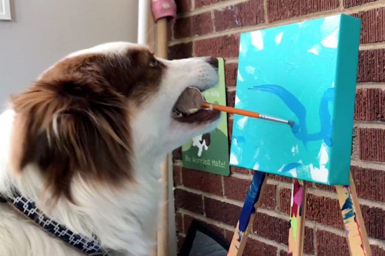 الكلبة إيفي بجوار إحدى لوحاتها الفنية